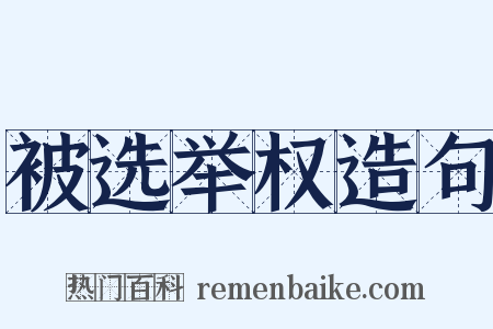 被选举权造句是什么意思的图片